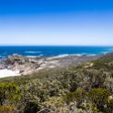 ZAF WC CapePoint 2016NOV14 NP 009 : 2016, 2016 - African Adventures, Africa, November, South Africa, Southern, Western Cape, Cape Point, Cape Peninsula, Cape Town, National Park